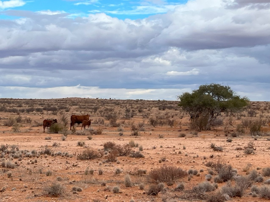 1 Bedroom Property for Sale in Kenhardt Northern Cape